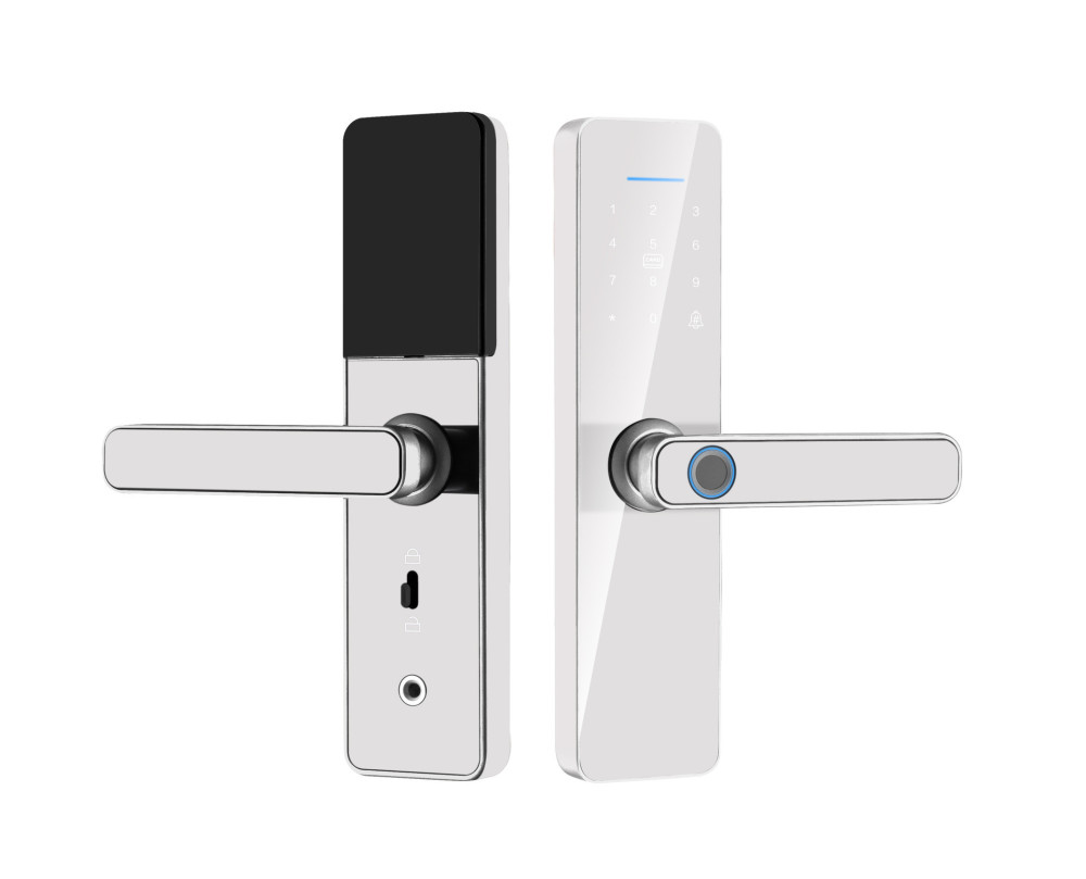S811 Smart Door Lock with Fingerprint Password and Card Access