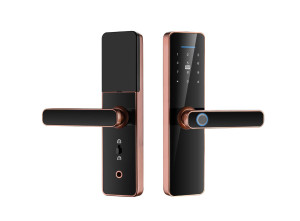 S811 Smart Door Lock with Fingerprint Password and Card Access